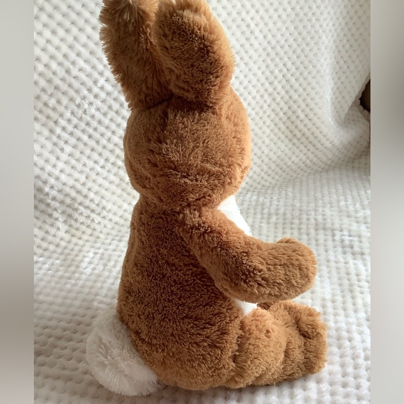 Peter Rabbit Beatrix Potter Plush Bunny Rabbit Stuffed Animal Embroidered Eyes - Picture 8 of 13